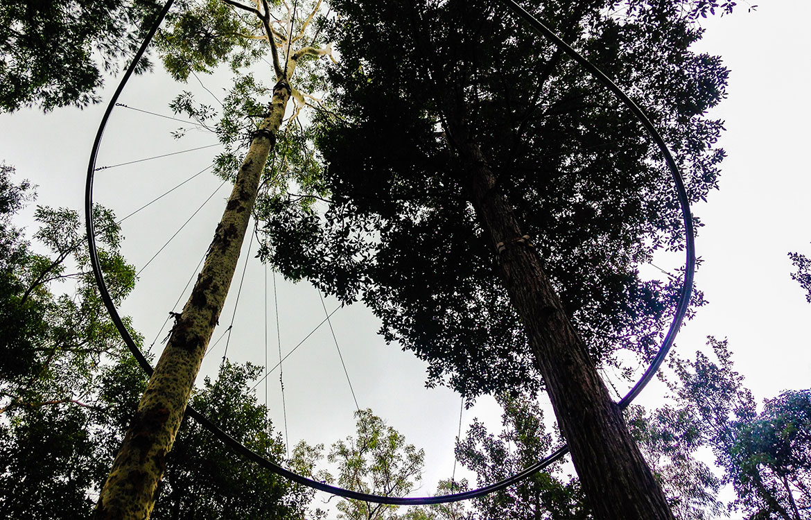 TreeTop-Adventure-Park