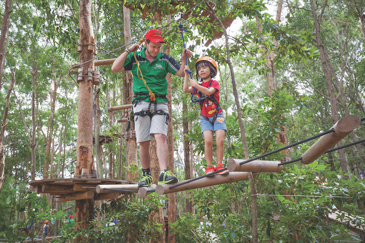 Entertaining the kids on the Central Coast tree tops