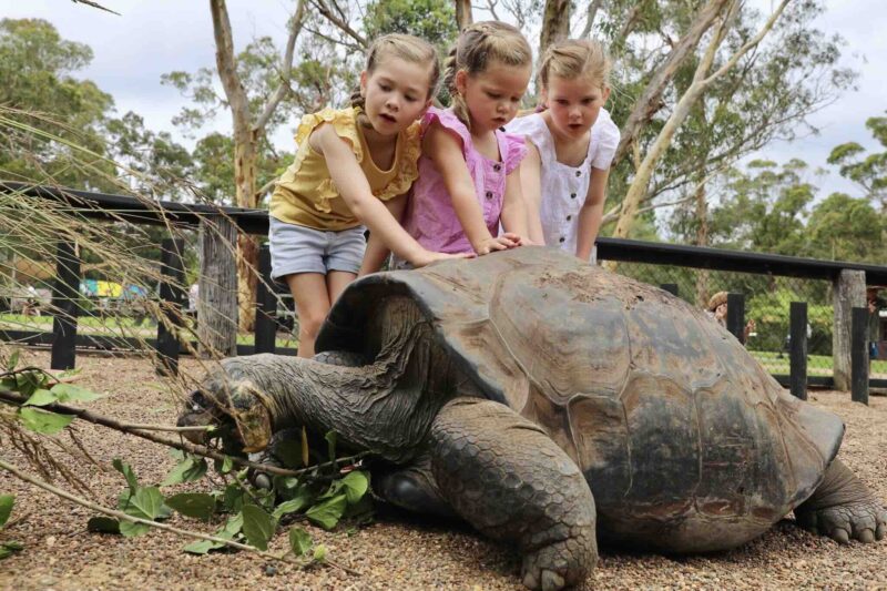 Activities on the Central Coast: Children enjoying animal encounters at The Australian Reptile Park, Central Coast NSW.