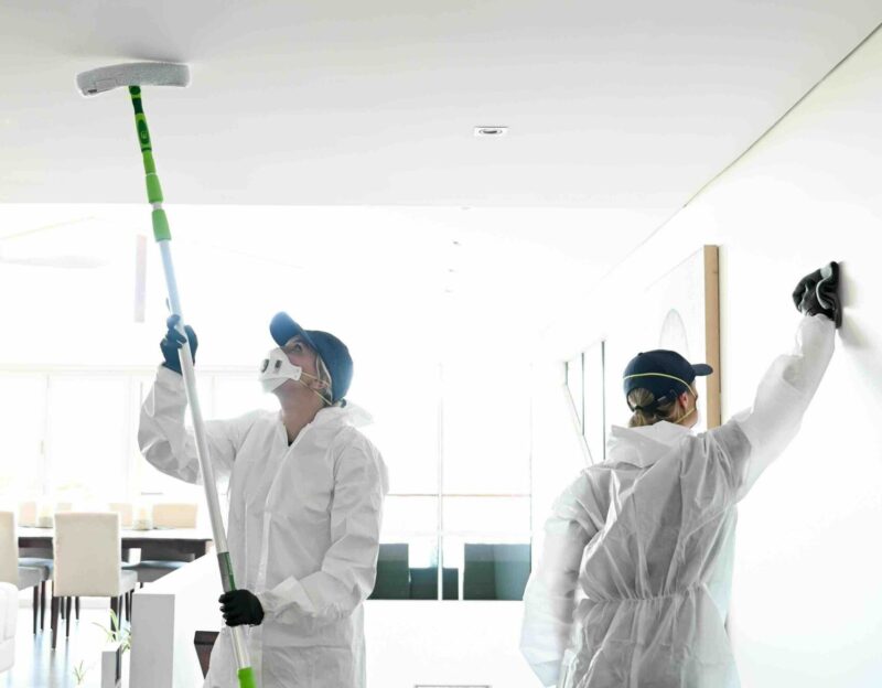 mouldsafe mould remediation services