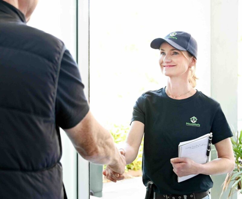 mouldsafe mould remediation services