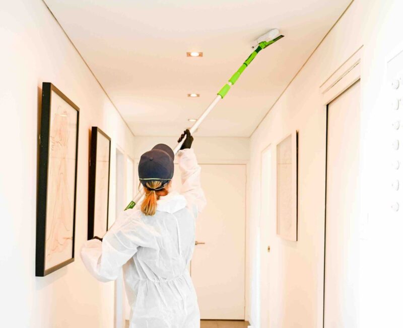 mouldsafe mould remediation services