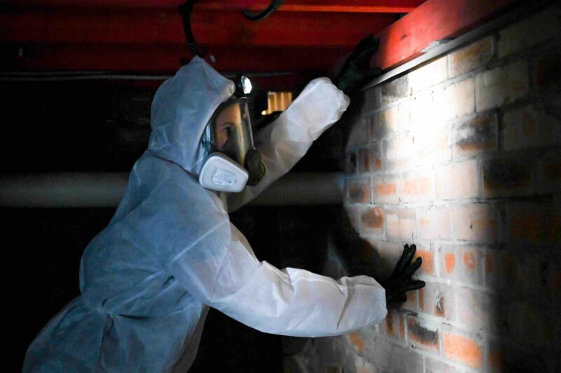mouldsafe mould remediation services 
