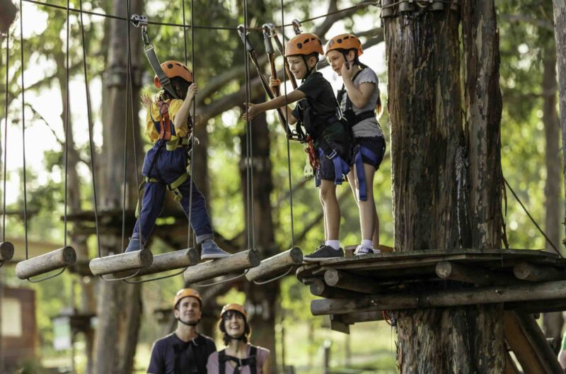 Activities on the Central Coast: Children adventuring at Treetops Adventure Central Coast